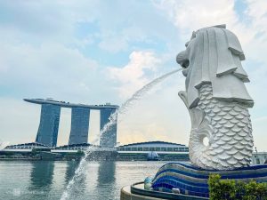 Vận Chuyển Trái Cây Từ Thành Phố Hồ Chí Minh Sang Singapore