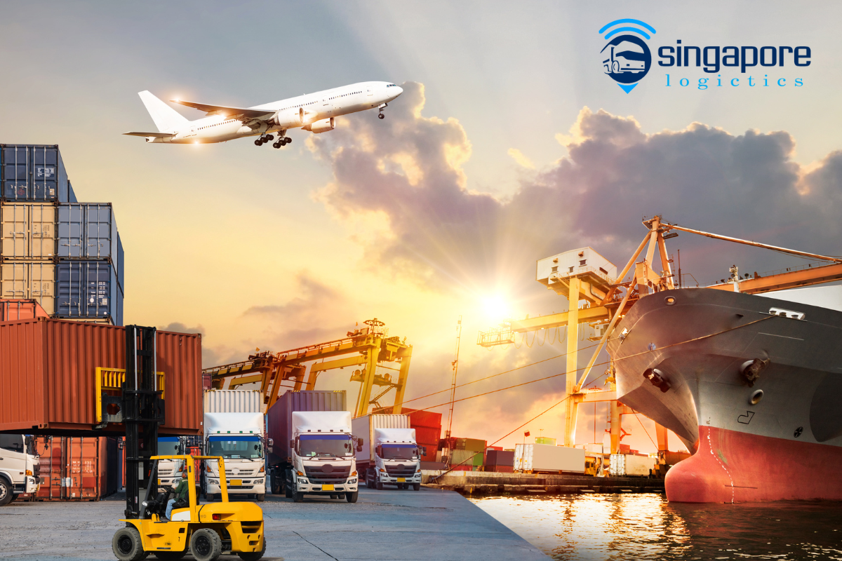 Quy trình gửi đậu Hà Lan đi Singapore của Singapore Logistics