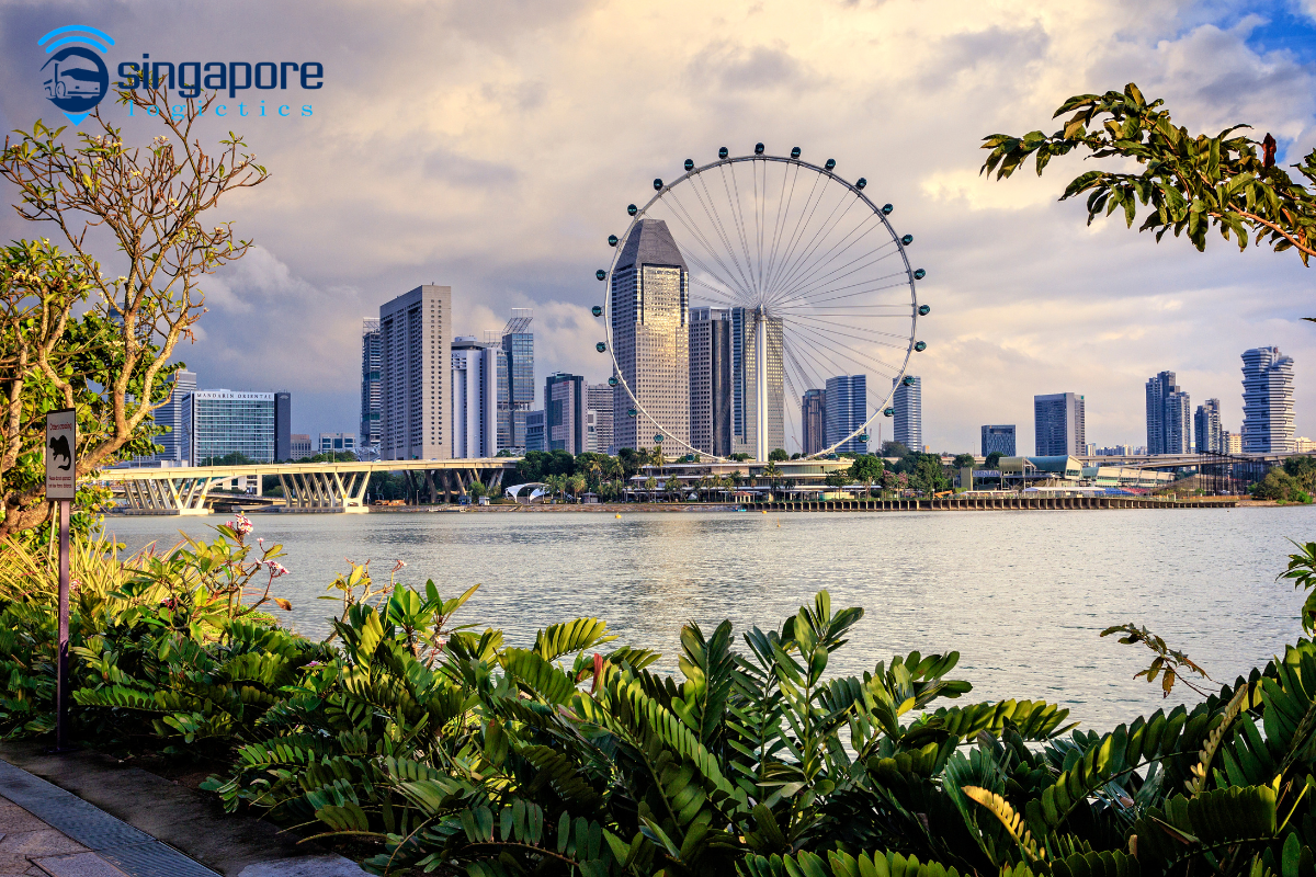 Cách tính cước chuyển phát nhanh hàng hóa đi Singapore