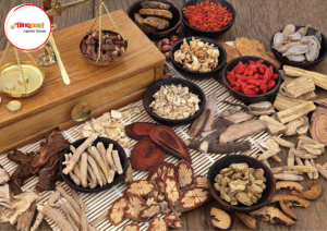 Vận Chuyển Dược Liệu Đi Singapore